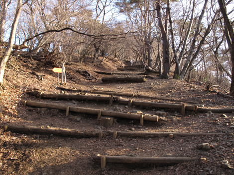 20170118hike (43)